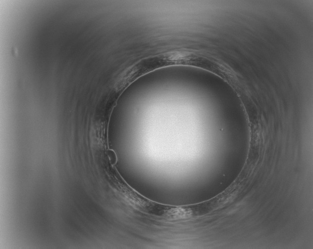 X0000060550421200511101542