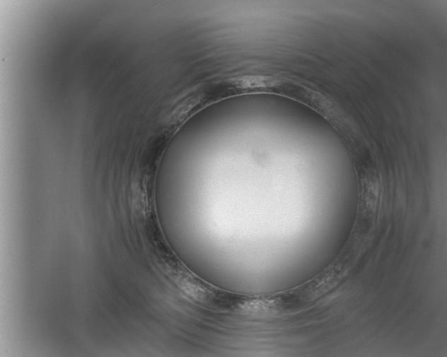 X0000060550422200511101542