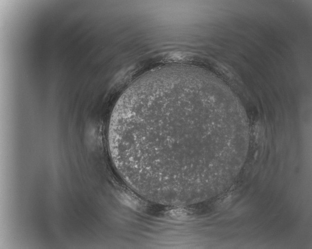 X0000060550423200511101542