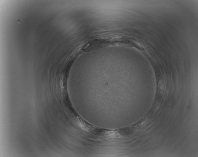 X0000060550424200511101542