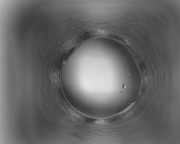 X0000060550425200511101542