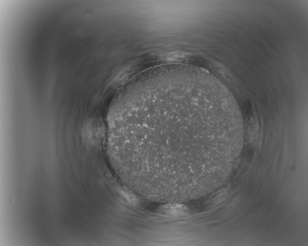 X0000060550427200511101542