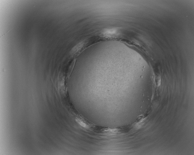 X0000060550428200511101542