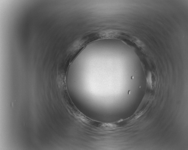 X0000060550429200511101542