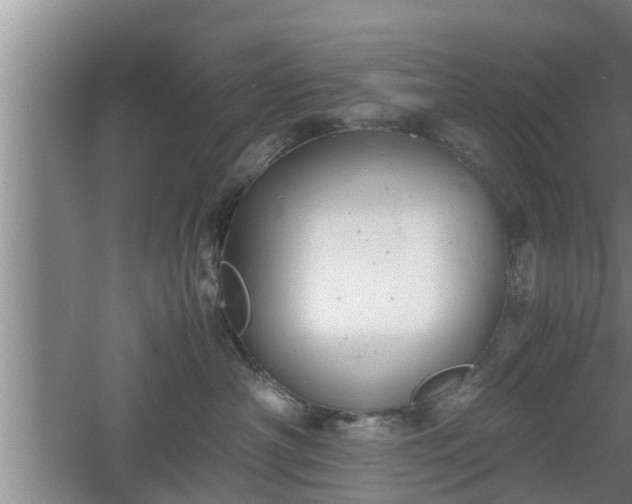 X0000060550430200511101542