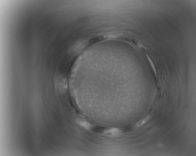 X0000060550431200511101542