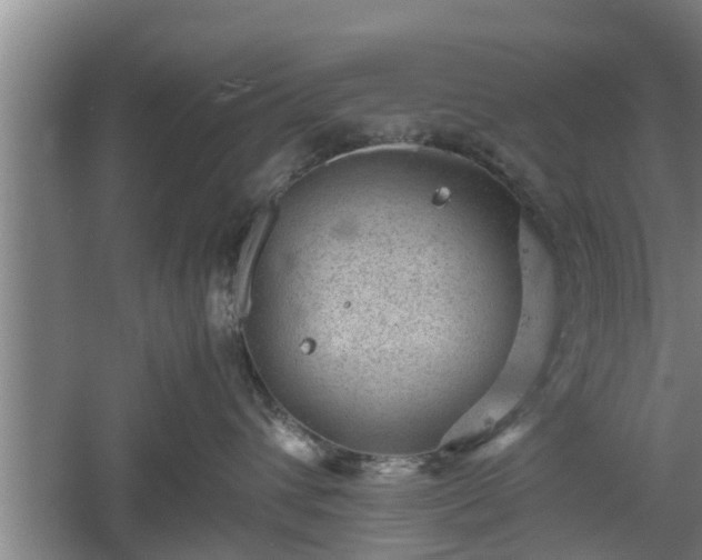 X0000060550432200511101542