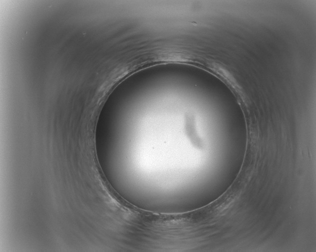 X0000060550433200511101541