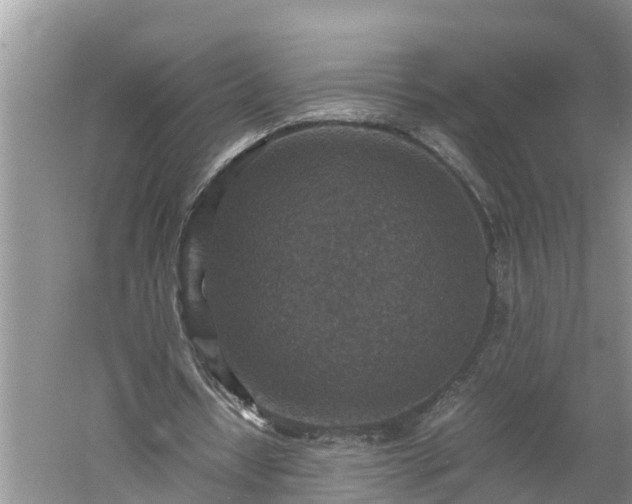 X0000060550434200511101541