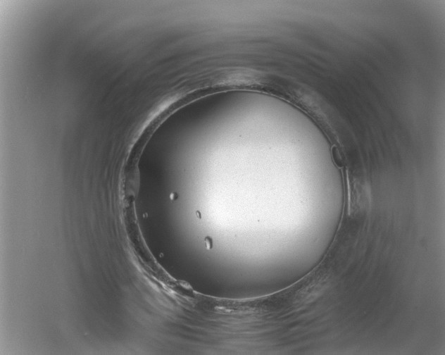 X0000060550435200511101541