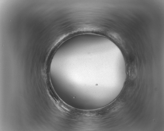 X0000060550436200511101541