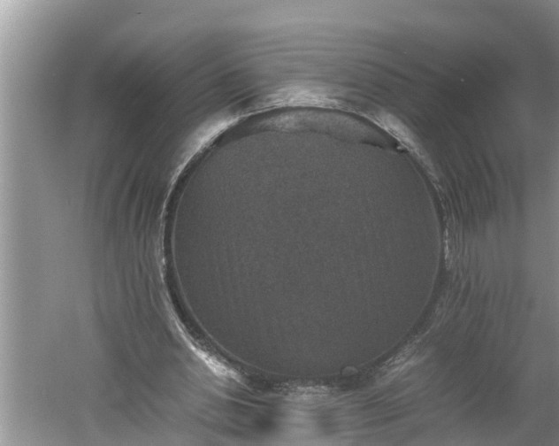 X0000060550438200511101541