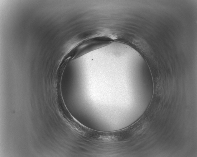 X0000060550440200511101541