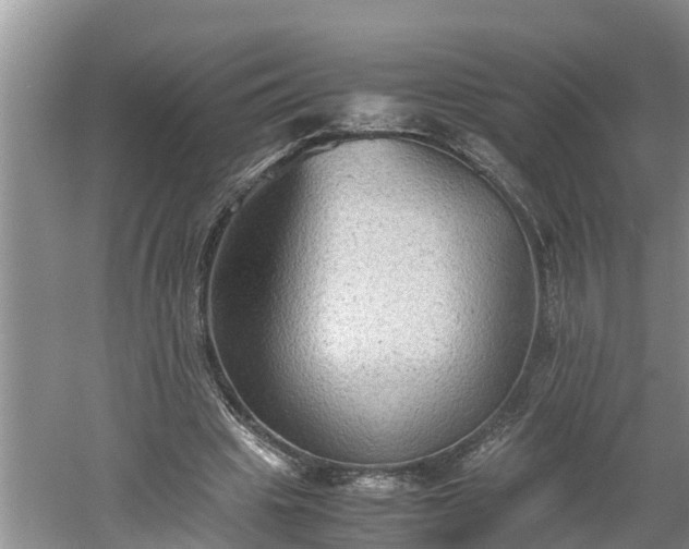 X0000060550441200511101541