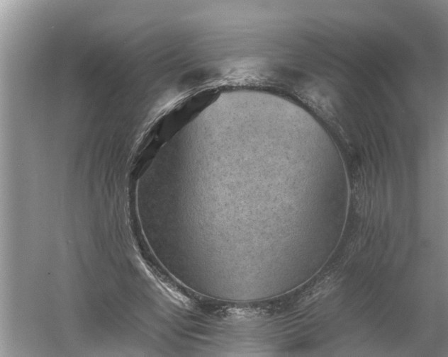 X0000060550442200511101541