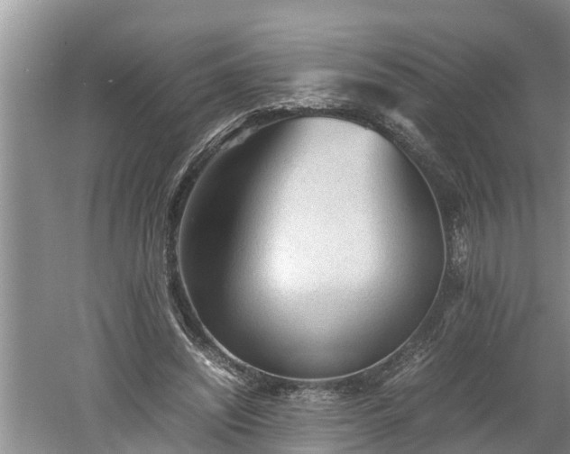 X0000060550444200511101541