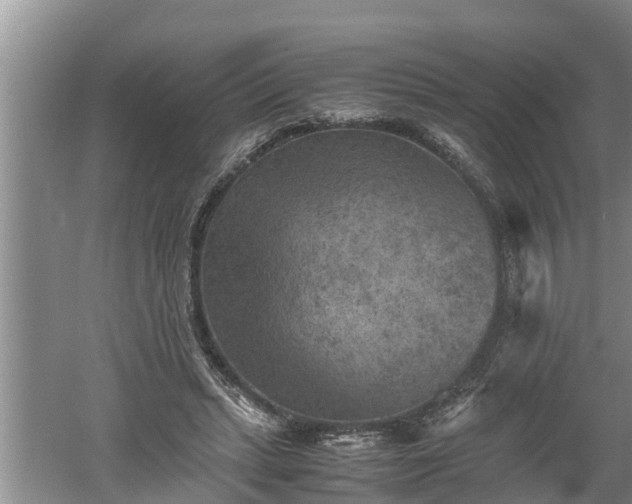 X0000060550447200511101541