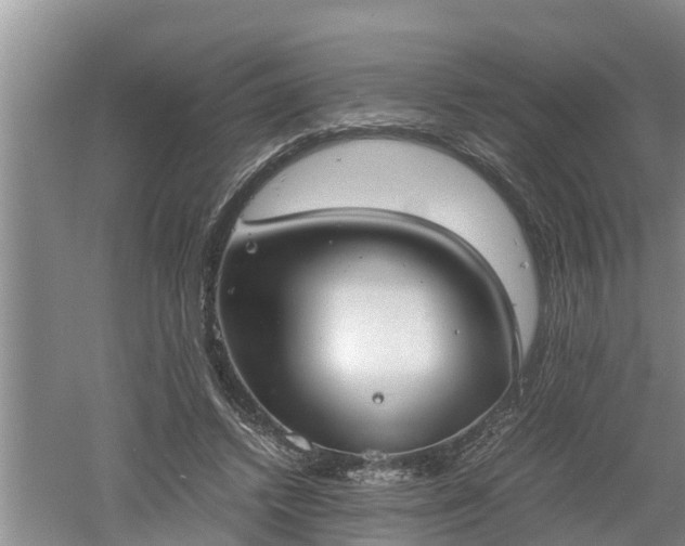 X0000060550448200511101541