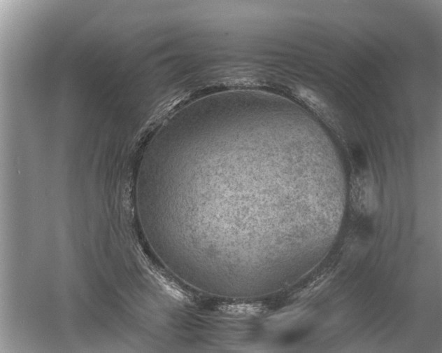 X0000060550449200511101541