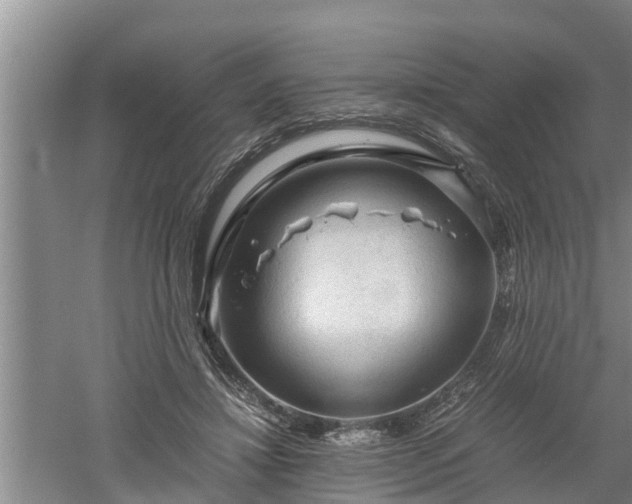 X0000060550452200511101541