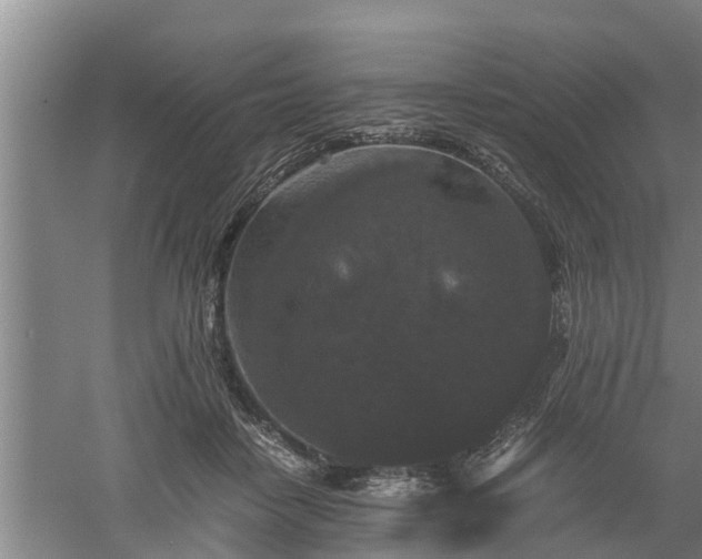 X0000060550458200511101542