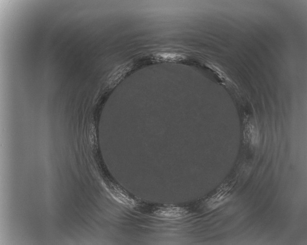 X0000060550459200511101542