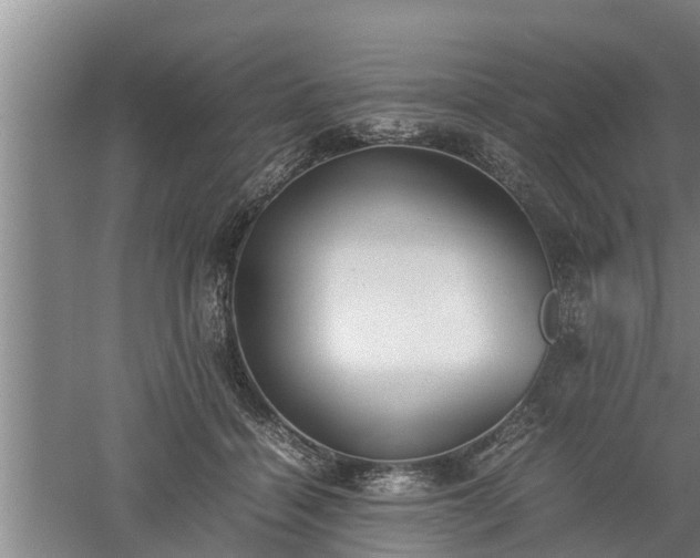 X0000060550460200511101542