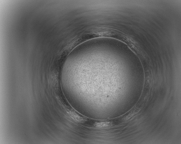 X0000060550461200511101542