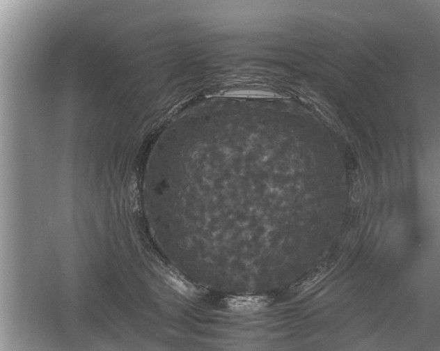 X0000060550465200511101542