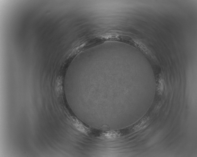 X0000060550466200511101542