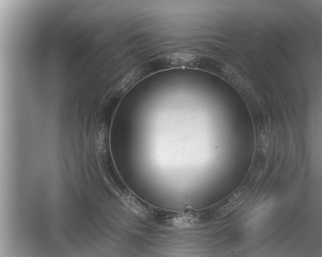 X0000060550468200511101542