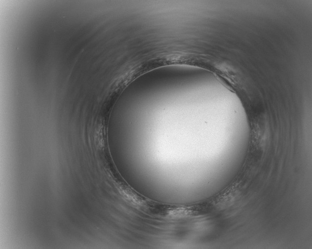 X0000060550470200511101542