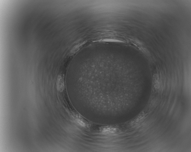 X0000060550471200511101542