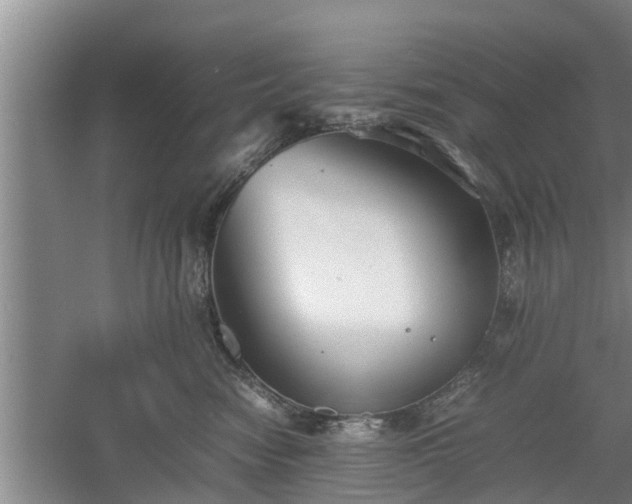 X0000060550474200511101542