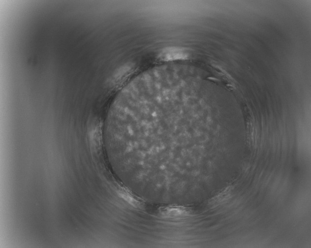 X0000060550475200511101542