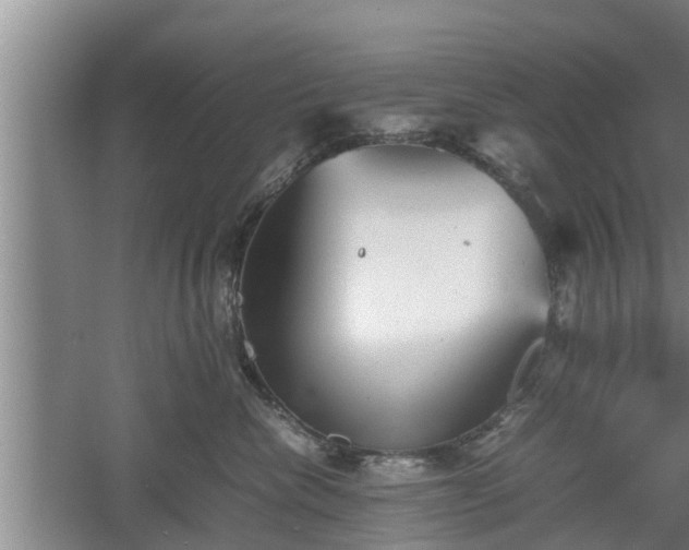 X0000060550476200511101542