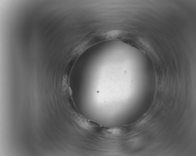 X0000060550478200511101542