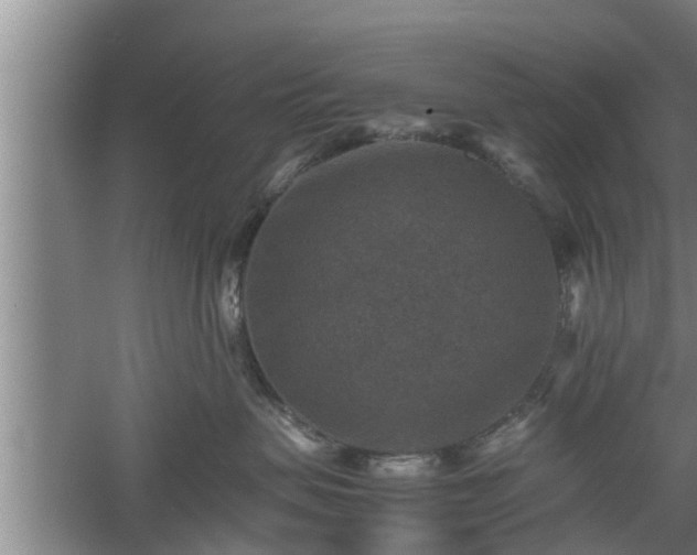 X0000060550479200511101542