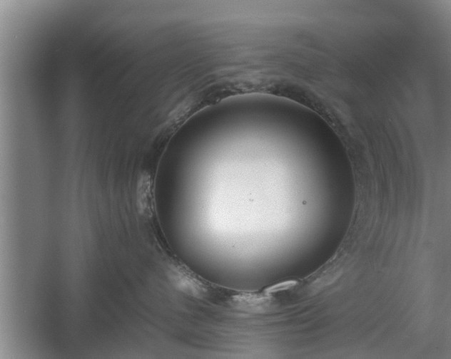 X0000060550480200511101542