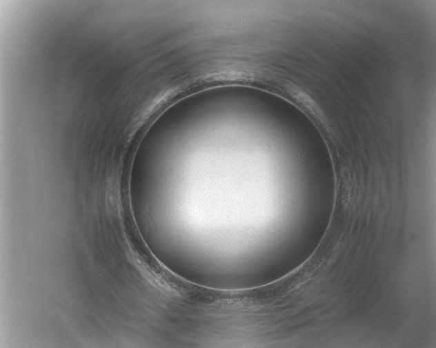 X0000060550482200511101541