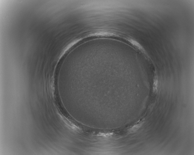 X0000060550484200511101541