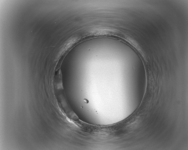 X0000060550485200511101541