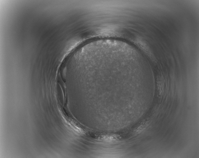 X0000060550488200511101541