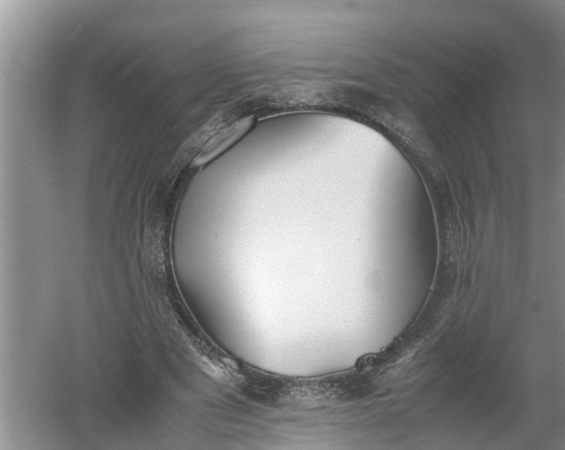 X0000060550489200511101541