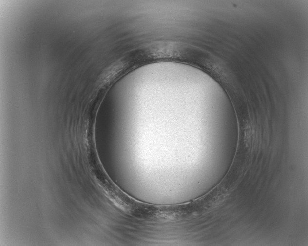 X0000060550490200511101541