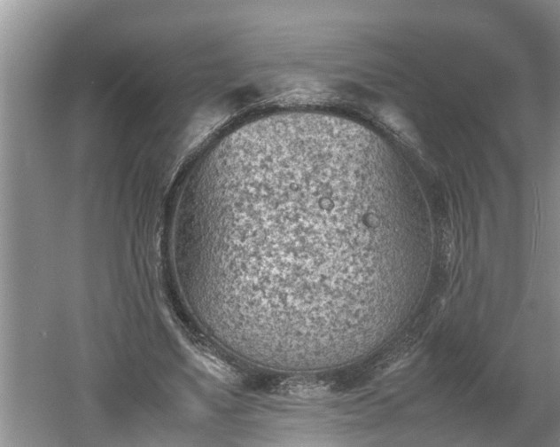 X0000060550491200511101541