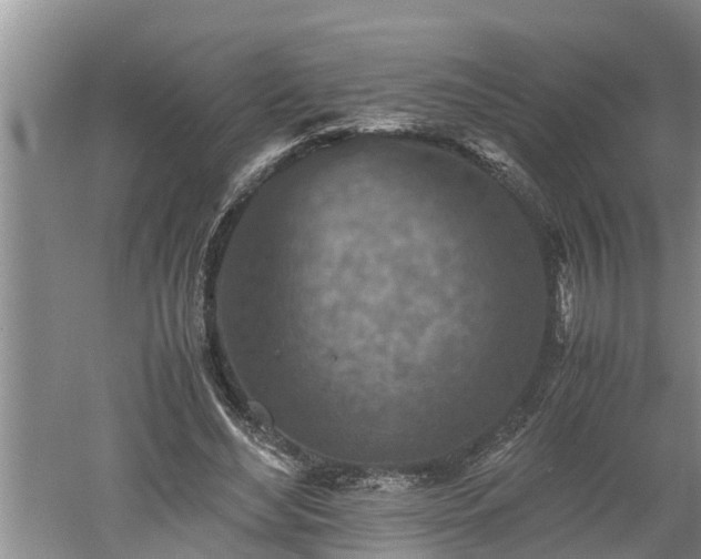 X0000060550492200511101541