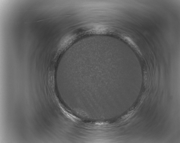 X0000060550493200511101541