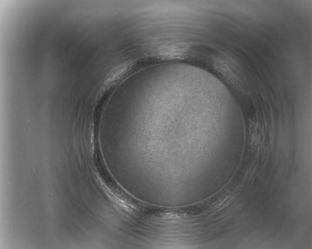 X0000060550494200511101541