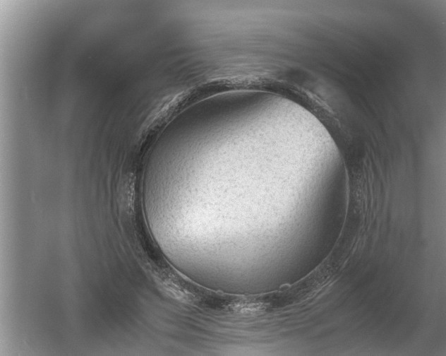 X0000060550495200511101541